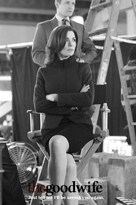 傲骨贤妻第六季封面图