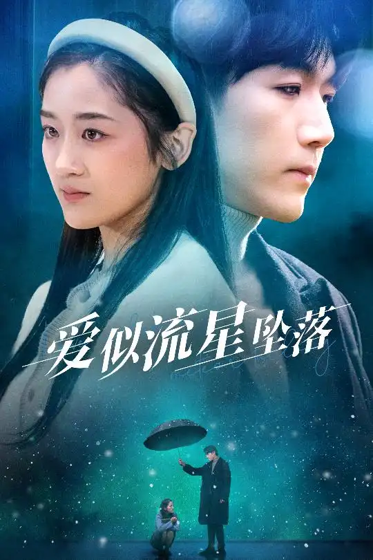 爱似流星坠落 你比我重要万倍封面图