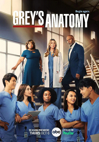 实习医生格蕾第19季封面图