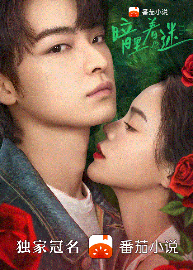 暗里着迷封面图