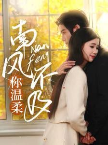南风不及你温柔封面图