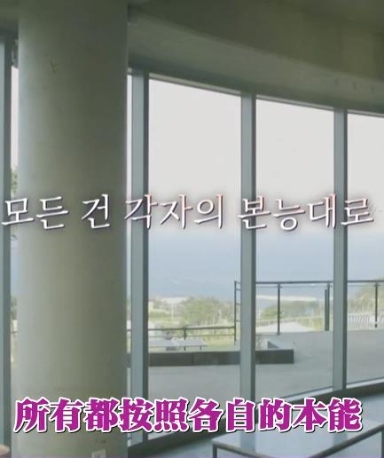 按照各自的本能封面图