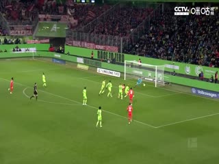 德甲 霍芬海姆vs科隆 20230422（刘洋）封面图