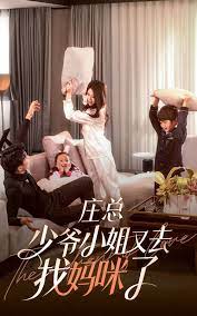 庄少，少爷小姐又去找妈咪了封面图