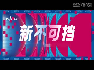 WCBA常规赛A组 东莞新彤盛VS山西竹叶青酒 20241123封面图