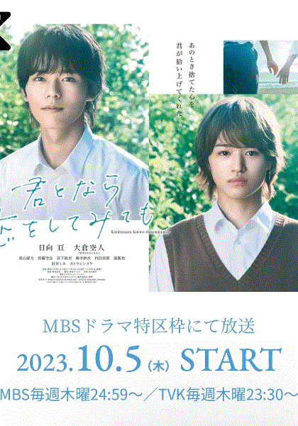 如果是你或许可以相恋封面图