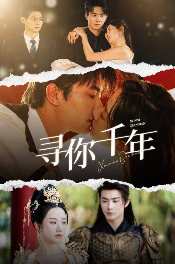寻你千年 千年后我依旧爱你封面图