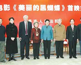 美丽的黑蝴蝶封面图