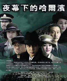 夜幕下的哈尔滨封面图