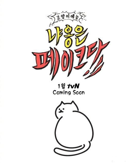 喵是假的封面图