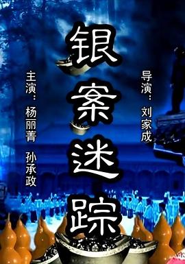 银案迷踪封面图