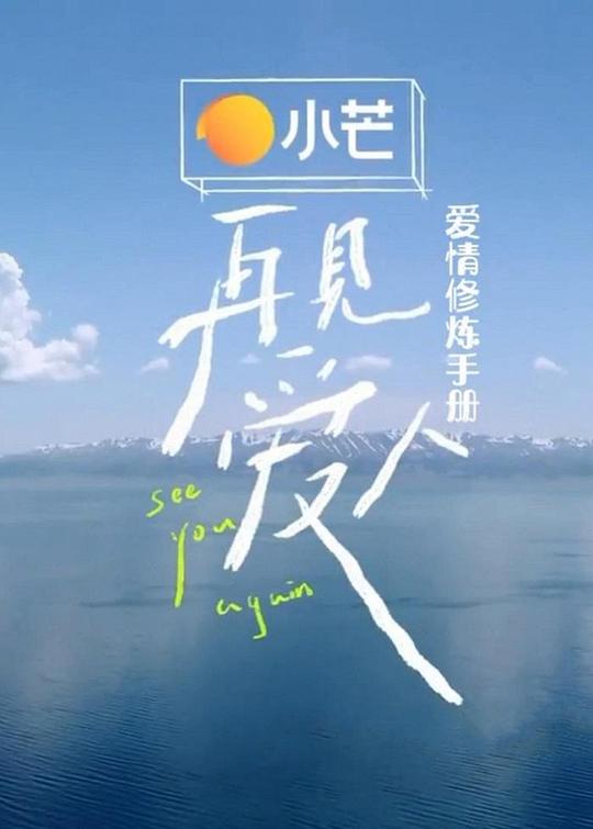 再见爱人爱情修炼手册封面图