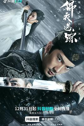 锦衣迷踪封面图