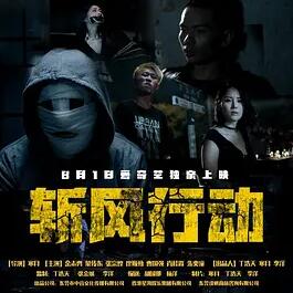 斩风行动封面图