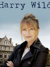 野探哈莉 第三季封面图