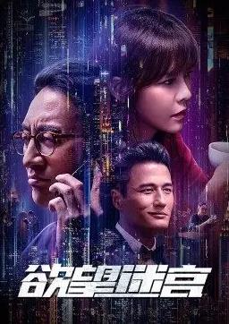 欲望迷宫封面图