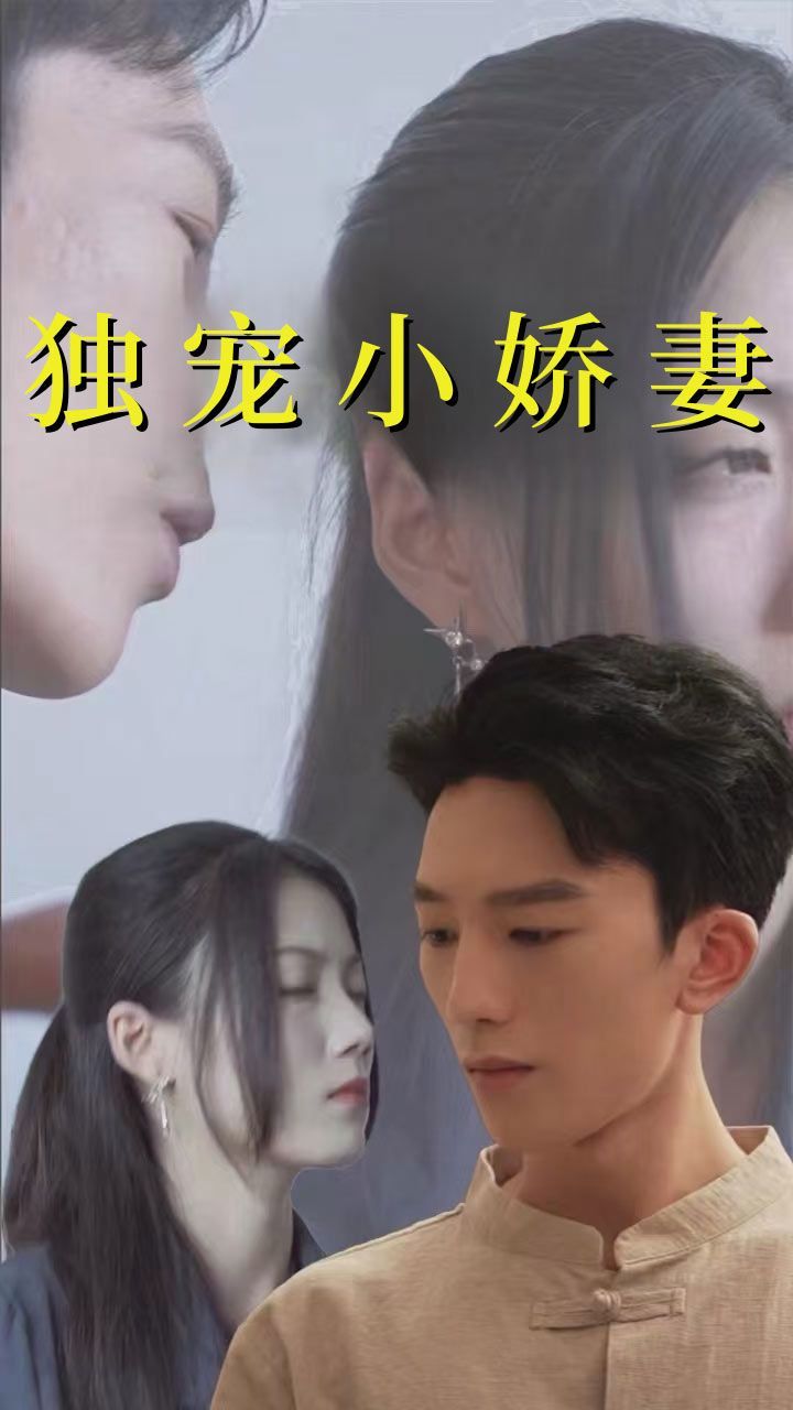 独宠小娇妻封面图