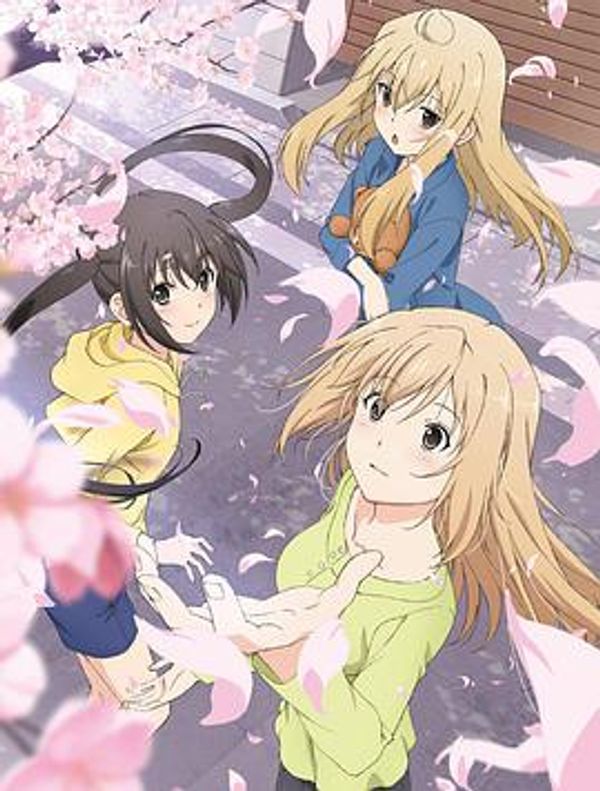 南家三姐妹第三季封面图