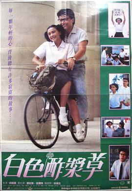 白色酢浆草封面图