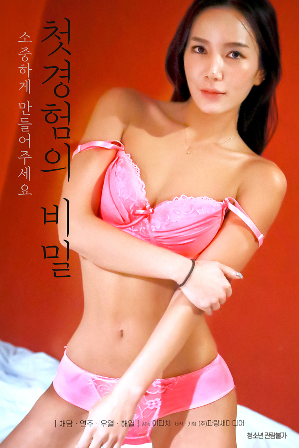 第一次经历的秘密封面图