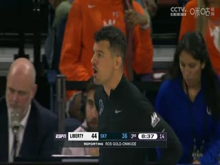 WNBA 洛杉矶火花vs华盛顿神秘人20230903封面图