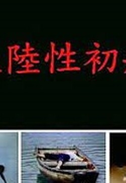 大陆性初航封面图