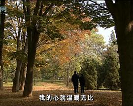 花落时节封面图