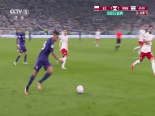 波兰VS阿根廷封面图