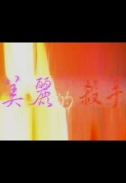 美丽的杀手封面图