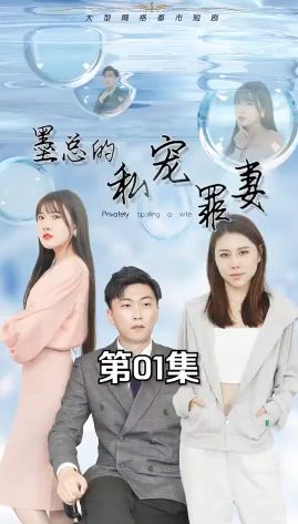 墨总的私宠罪妻封面图