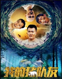 我的猪队友封面图