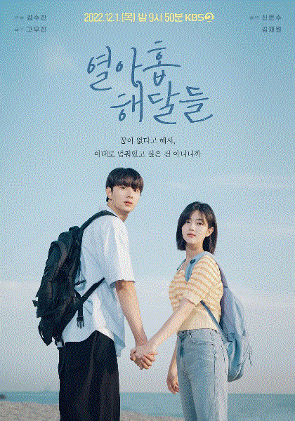 十九只海獭封面图