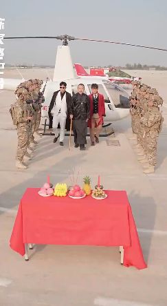 AA绝代枭婿封面图