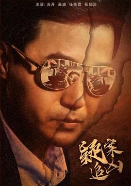 疑案追凶封面图