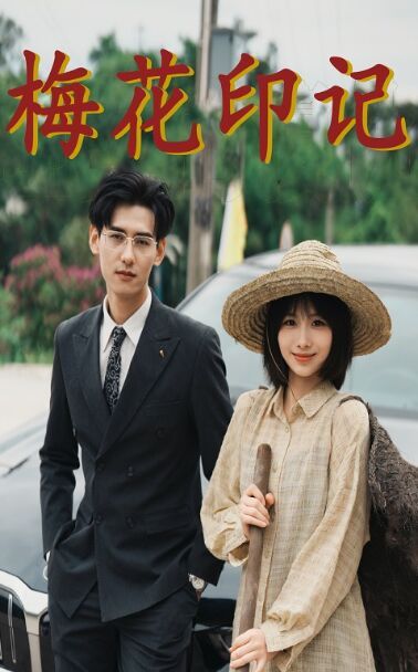 梅花印记封面图