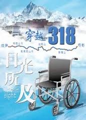 目光所及封面图