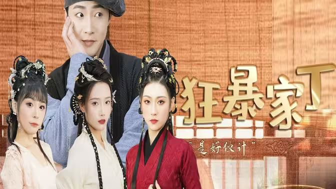 狂暴家丁封面图