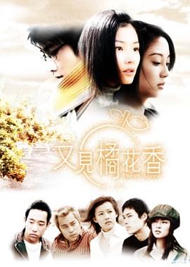 又见橘花香封面图