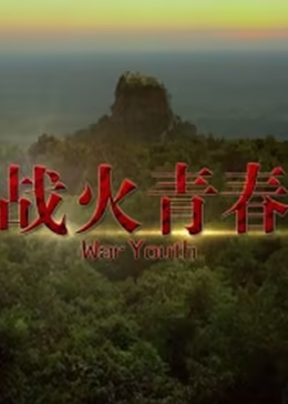 战火青春2016封面图