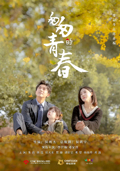 匆匆的青春网络版封面图