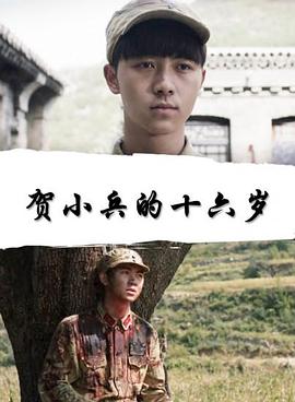 贺小兵的十六岁封面图