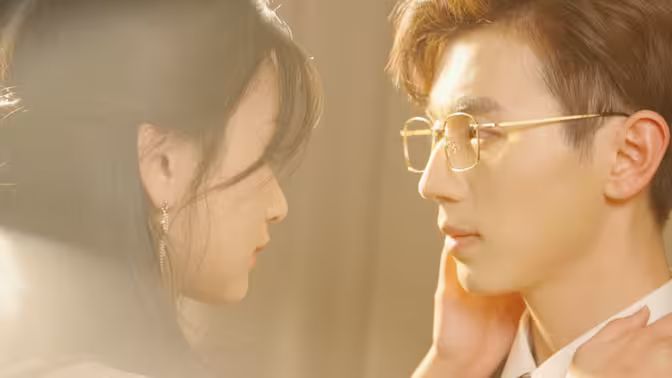 手可摘南星封面图