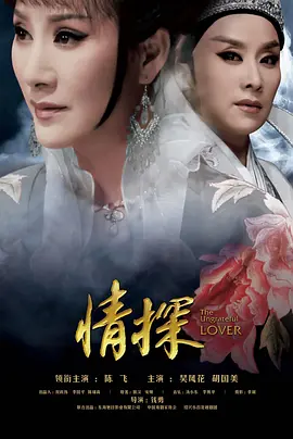 情探封面图