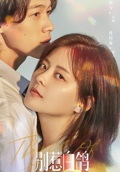 别惹白鸽封面图