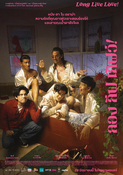 爱情万岁封面图