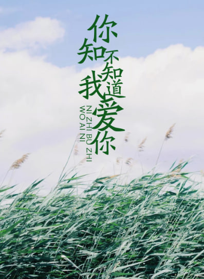 你知不知道我爱你封面图