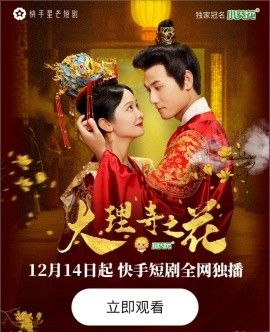 大理寺之花封面图