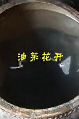 油菜花开封面图