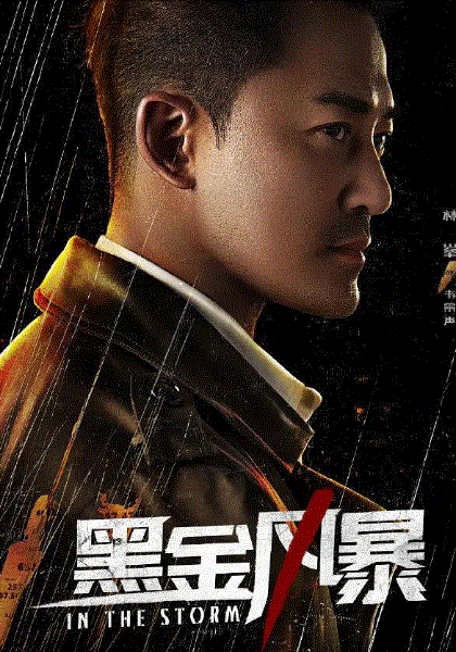 黑金风暴(粤)封面图