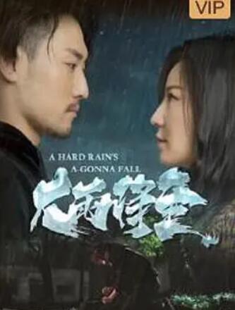 大雨将至封面图